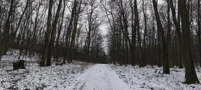 Trojkráľová prechádzka na Katarínku